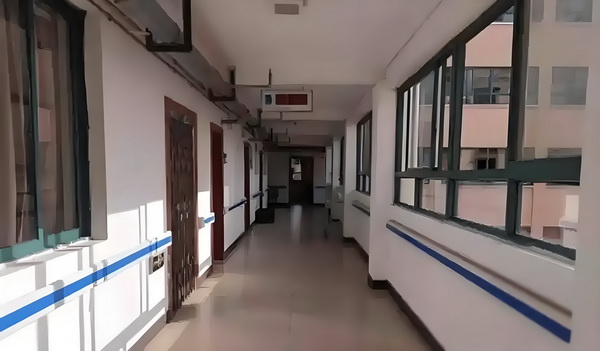 宫主闯天下